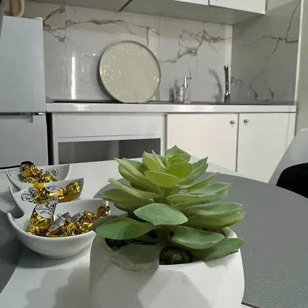 Safir 1 & Safir 2 & Safir 3 Apartment Krusevac